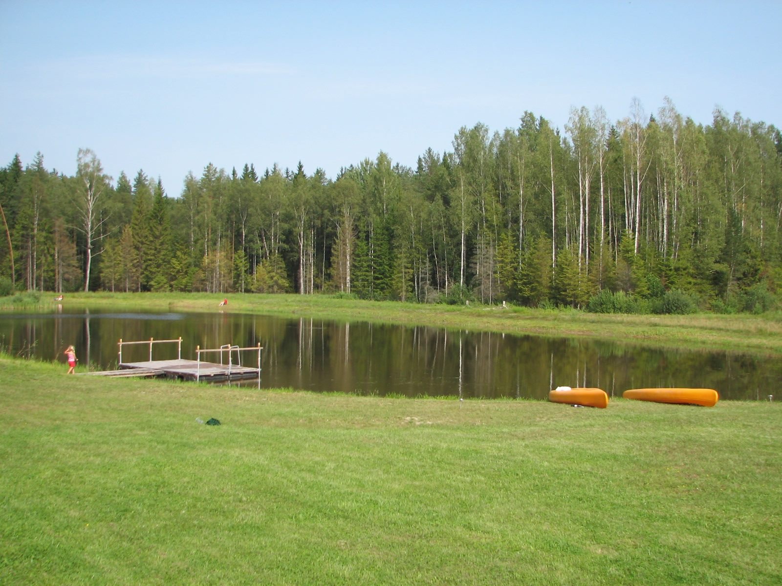 Viesu nams Naktsvijoles
