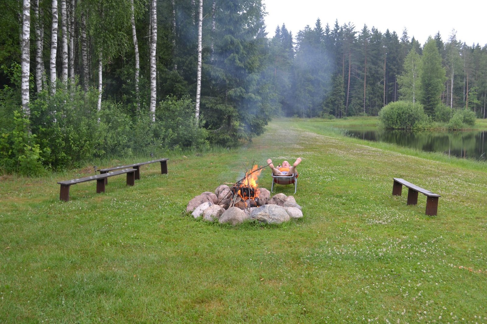 Viesu nams Naktsvijoles