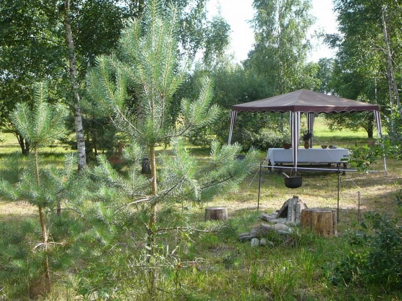 Green Camping