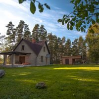 Sauleskrasti