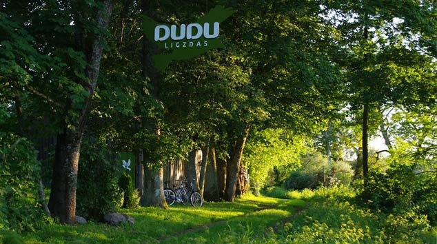 DUDU ligzdas